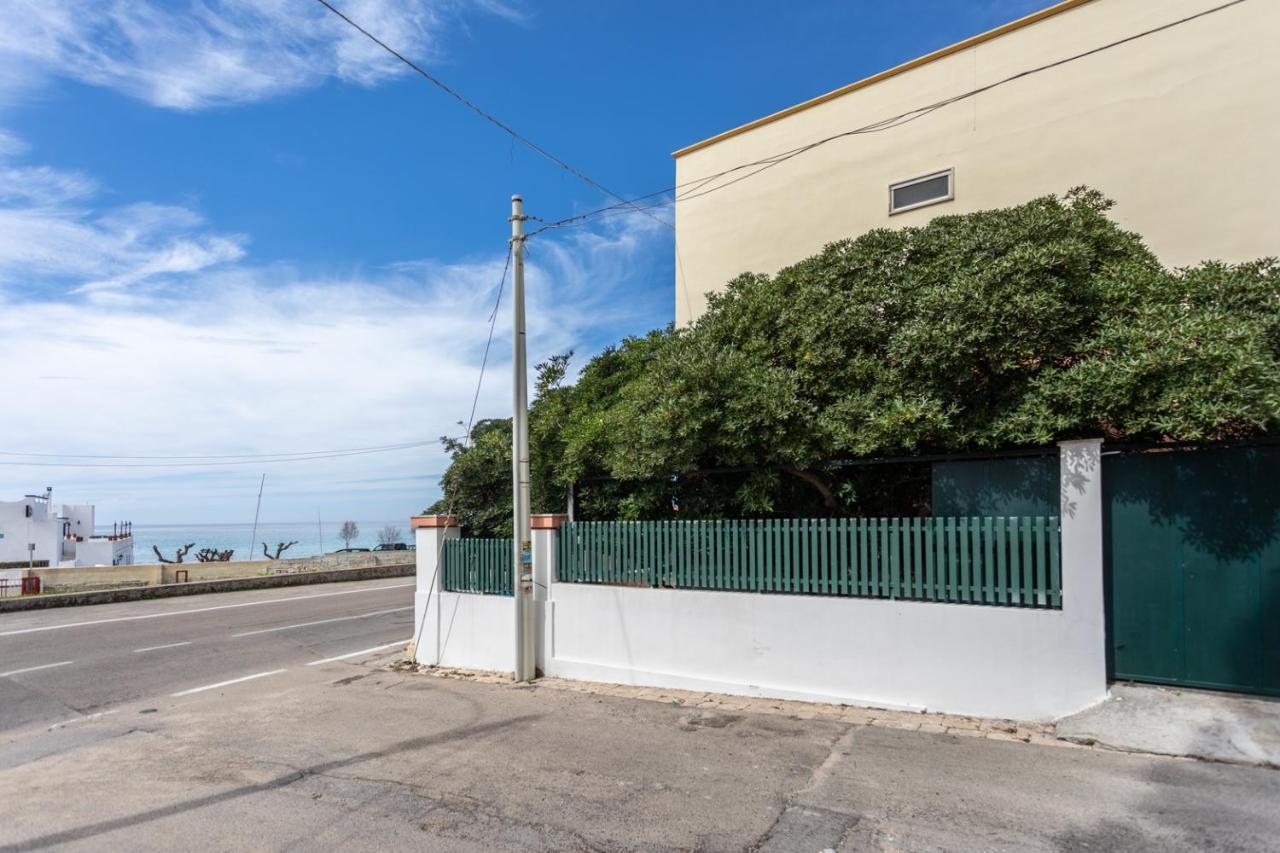 Villetta Bianca Sulla Spiaggia - Apulia Home غالّيبولي المظهر الخارجي الصورة
